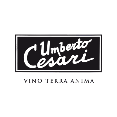 CESARI SRL