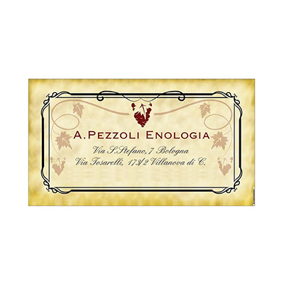 A.PEZZOLI ENOLOGIA SRL