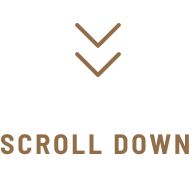Scroll Down